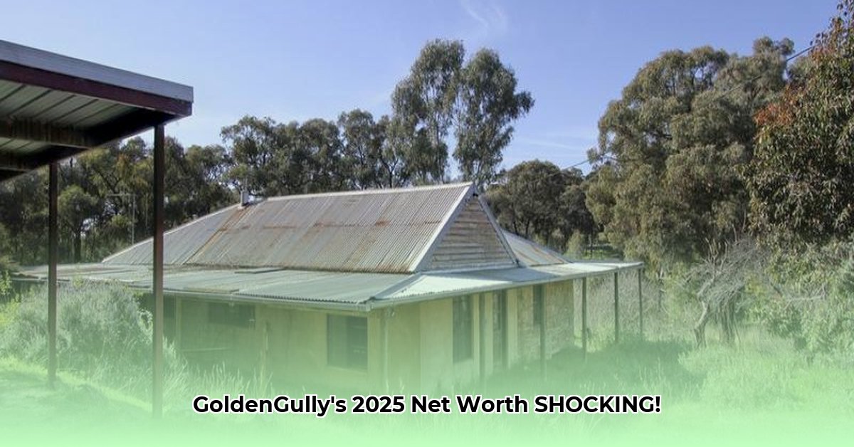 goldengully-net-worth